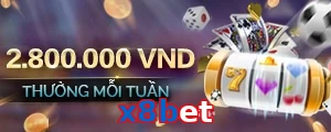x8bet