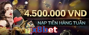x8bet